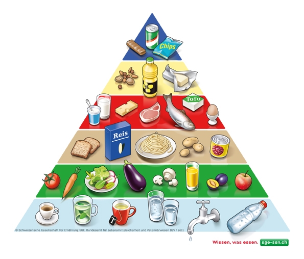 02_sge_Food_Pyramid_Standard_D_2014.jpg