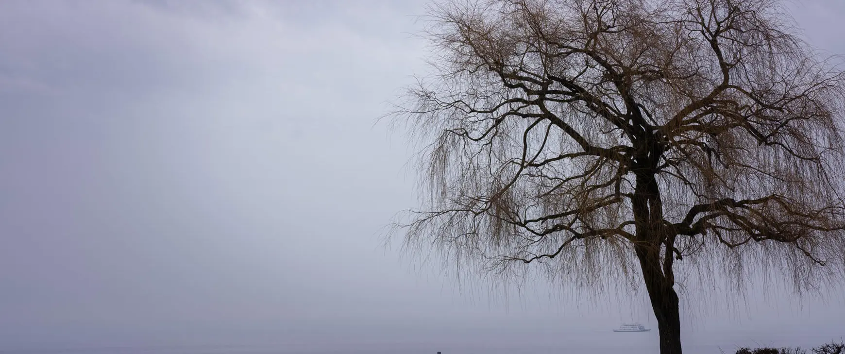 Winterblues-Verstimmung.jpg