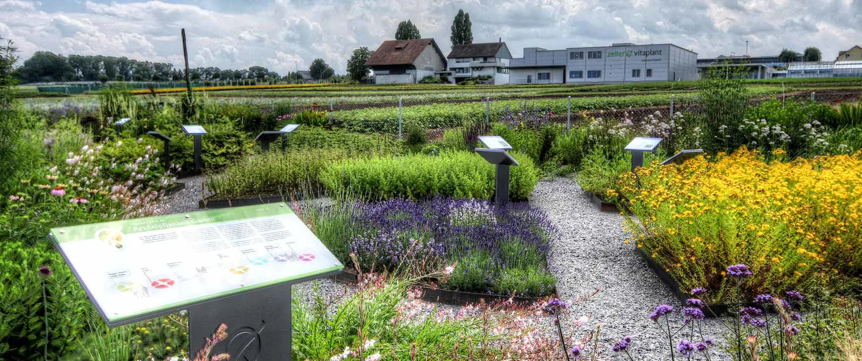Bild Blogbeitrag Arzneipflanzengarten.jpg