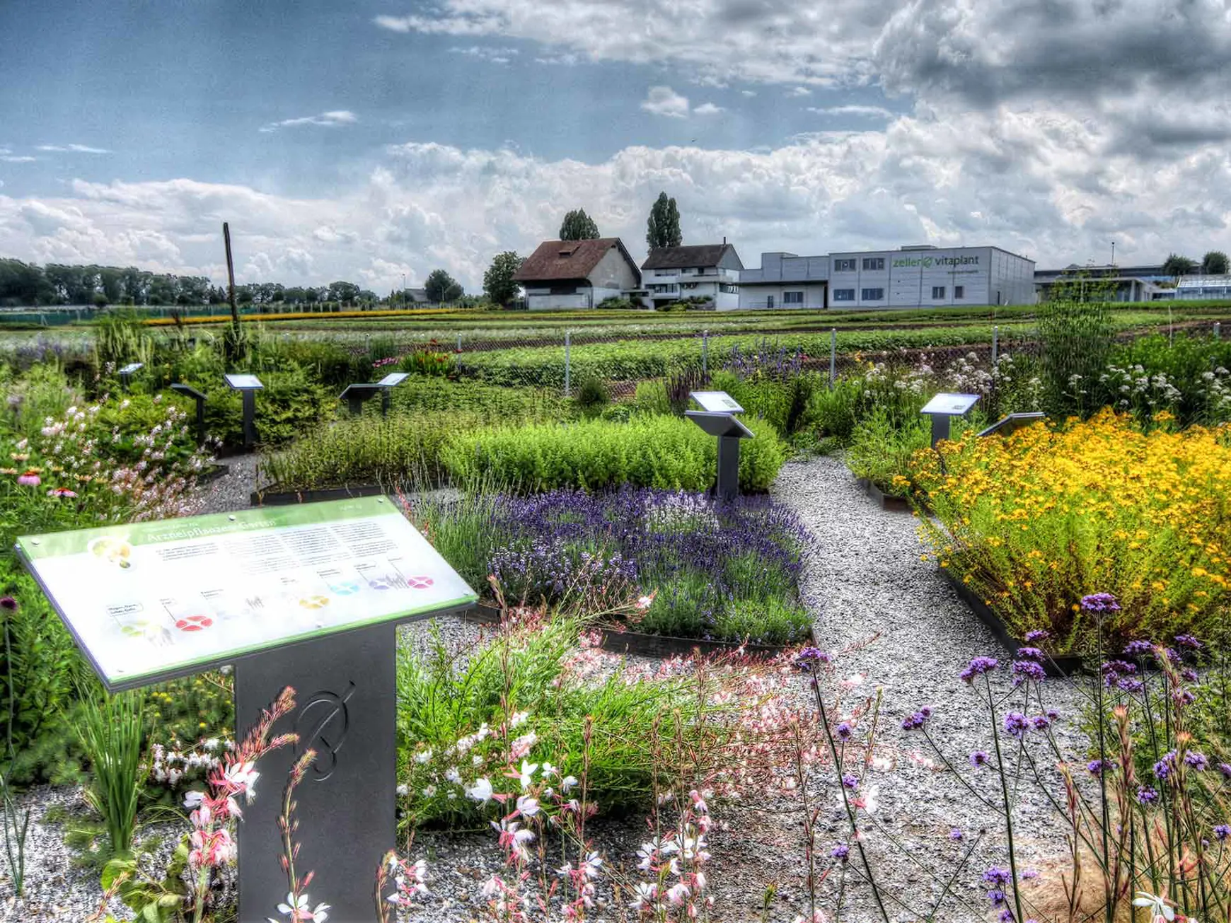 Hier blüht dir was! Hier blüht dir was!