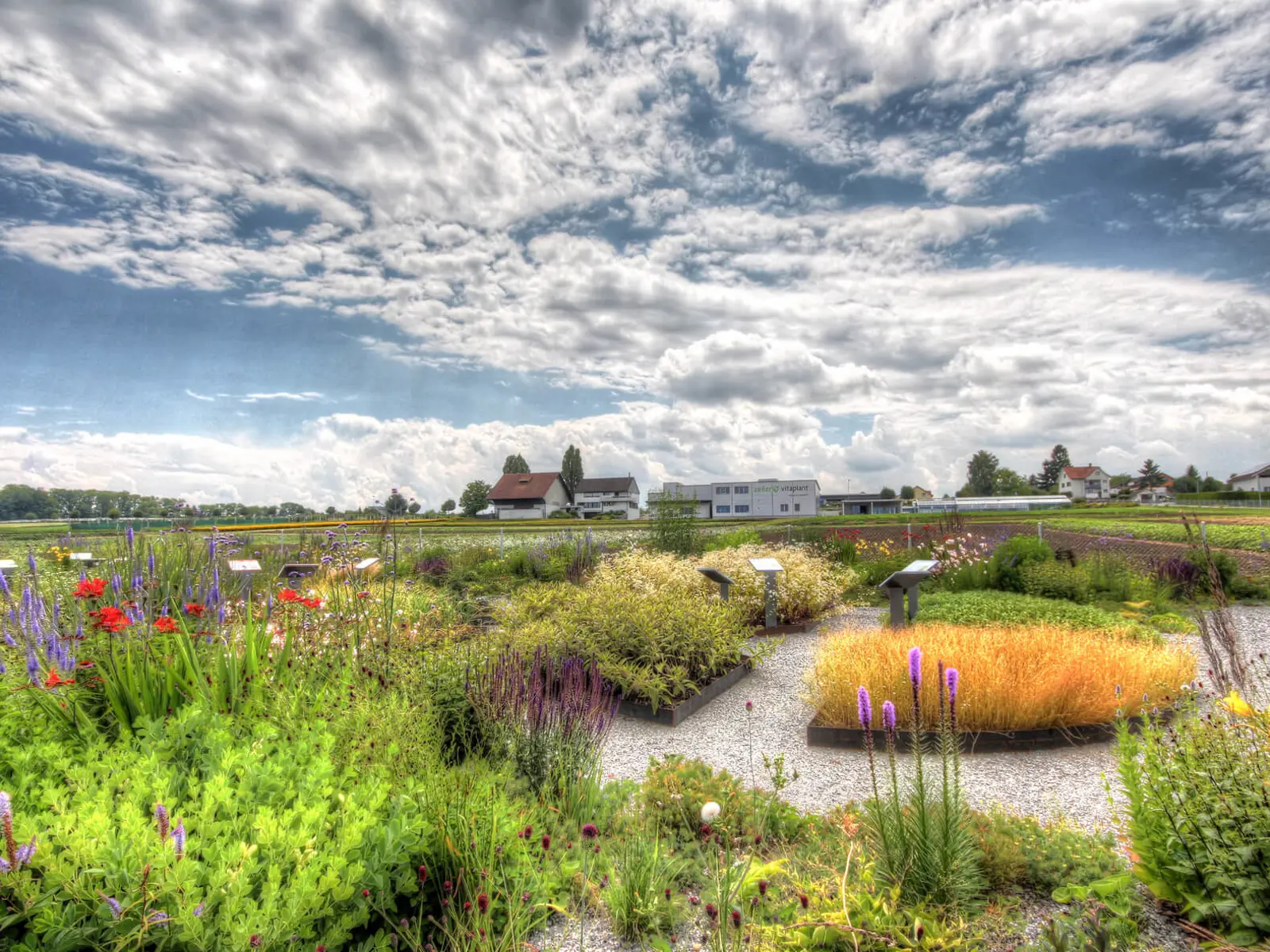 Vitaplant-Arzneipflanzengarten.jpg