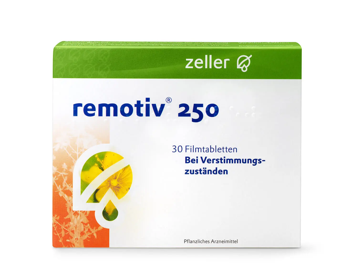 2012_remotiv-de.jpg