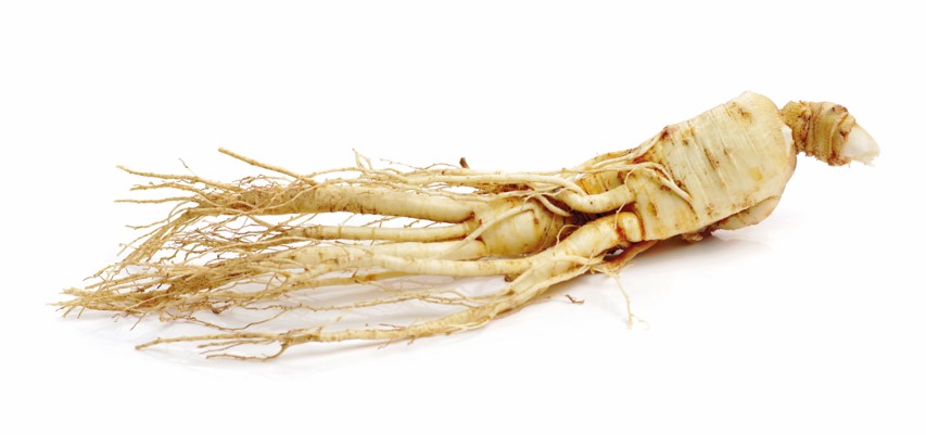 Bild1 Ginseng .jpg