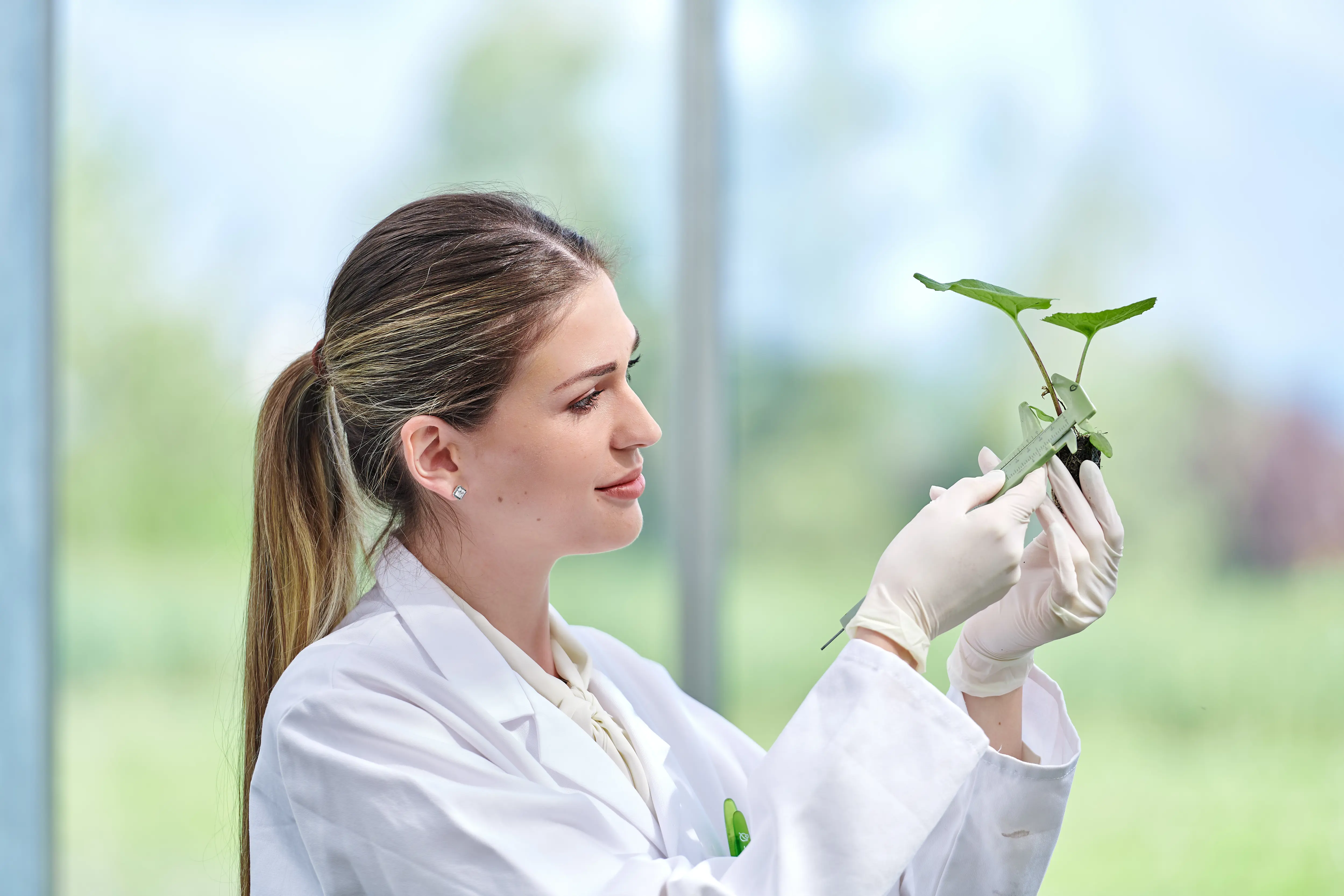 Phytotherapie 2.0: Expertenwissen für die tägliche Praxis