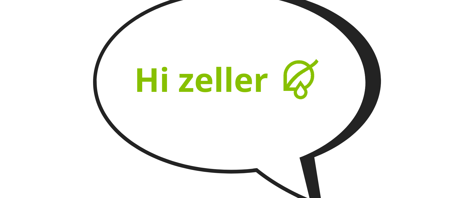 Hi Zeller